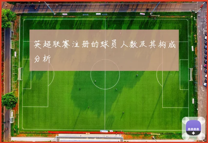 英超联赛注册的球员人数及其构成分析