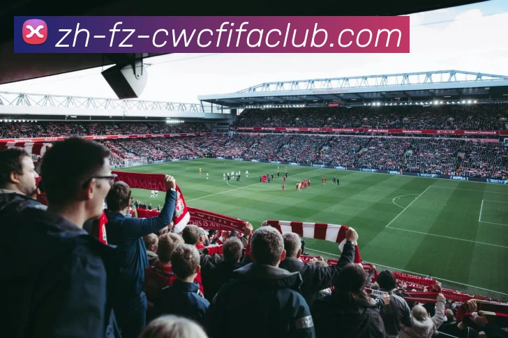 多媒体互动体验